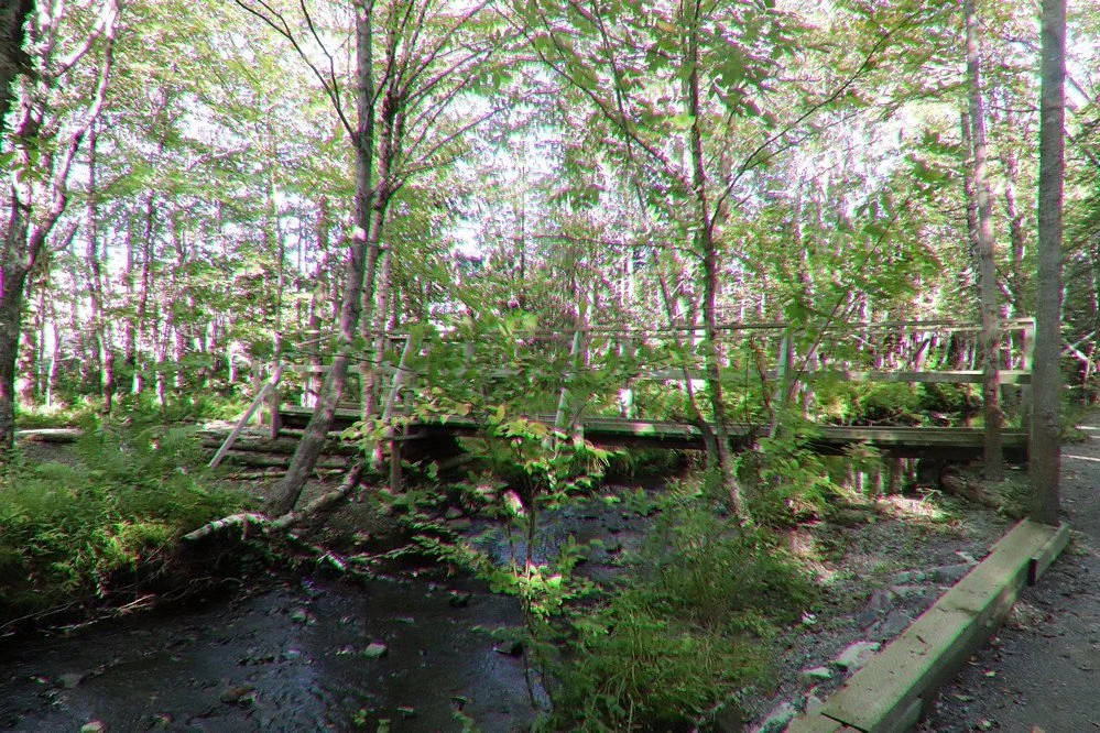 Baille Ard Nature Trail