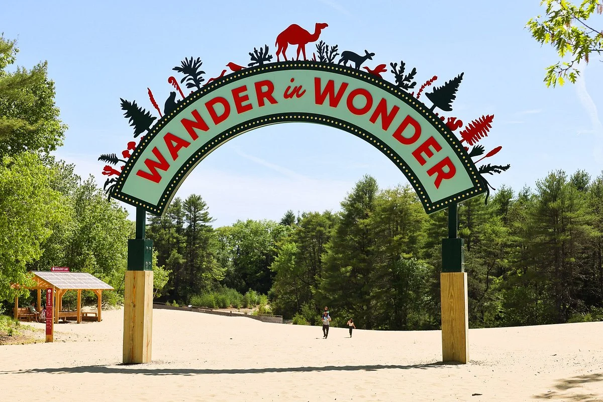 Desert Of Maine