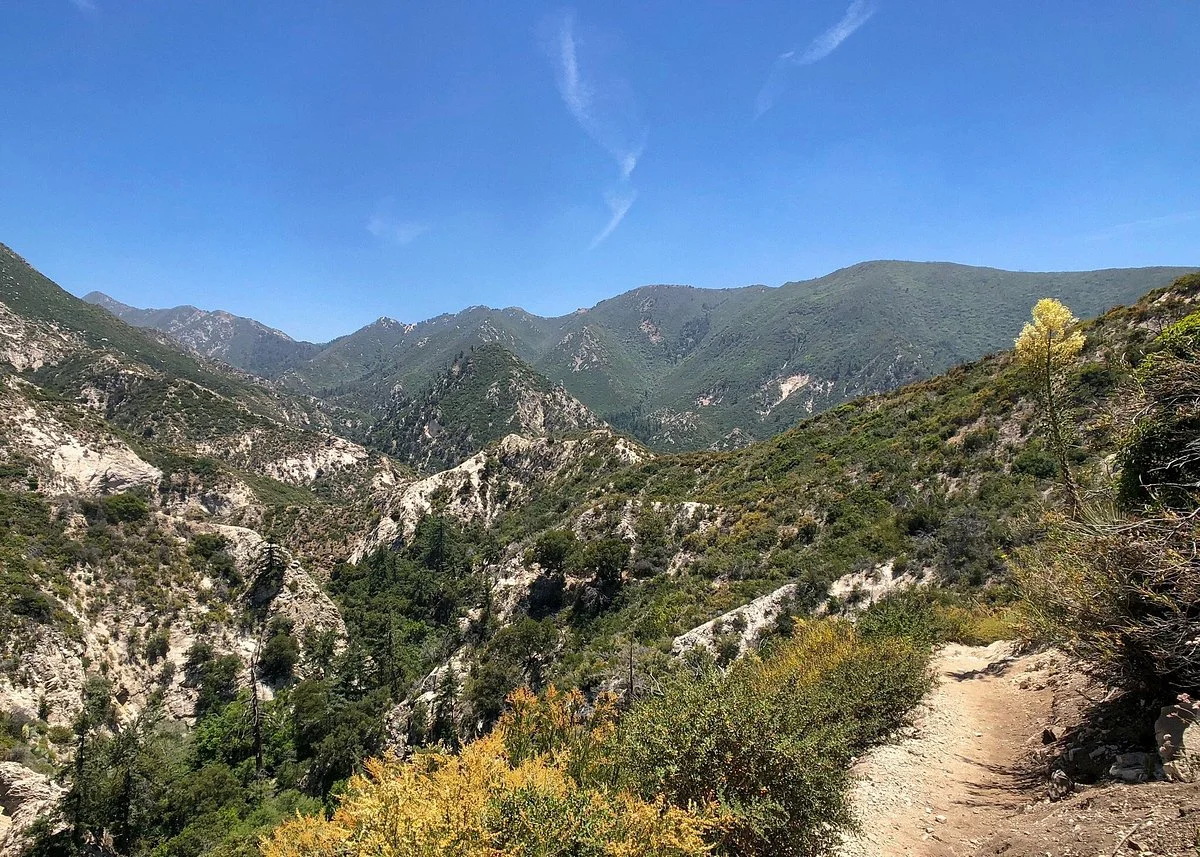 Angeles National Forest