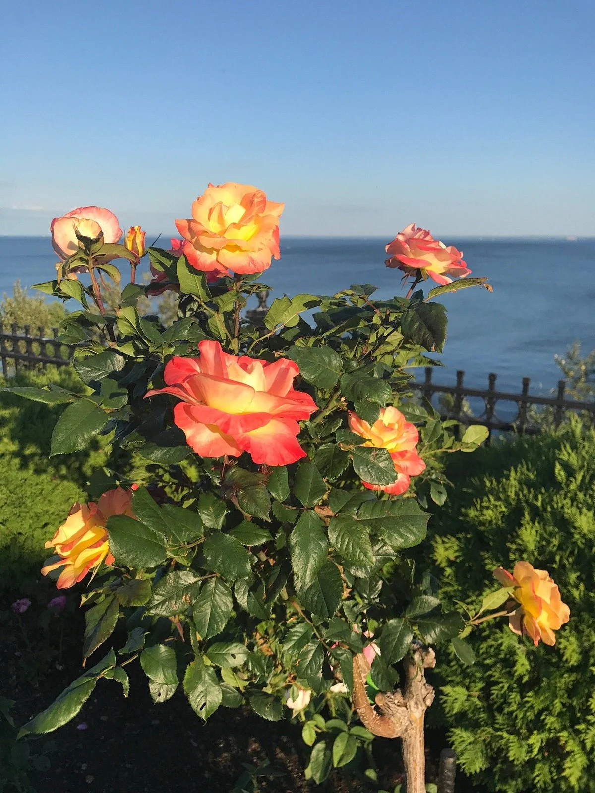 Leif Erickson Park