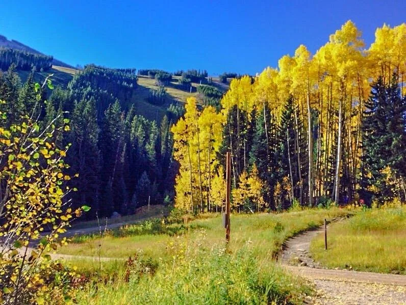 Beaver Lake Trail