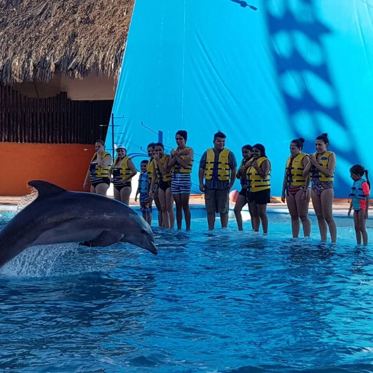 CiCi Acapulco Magico