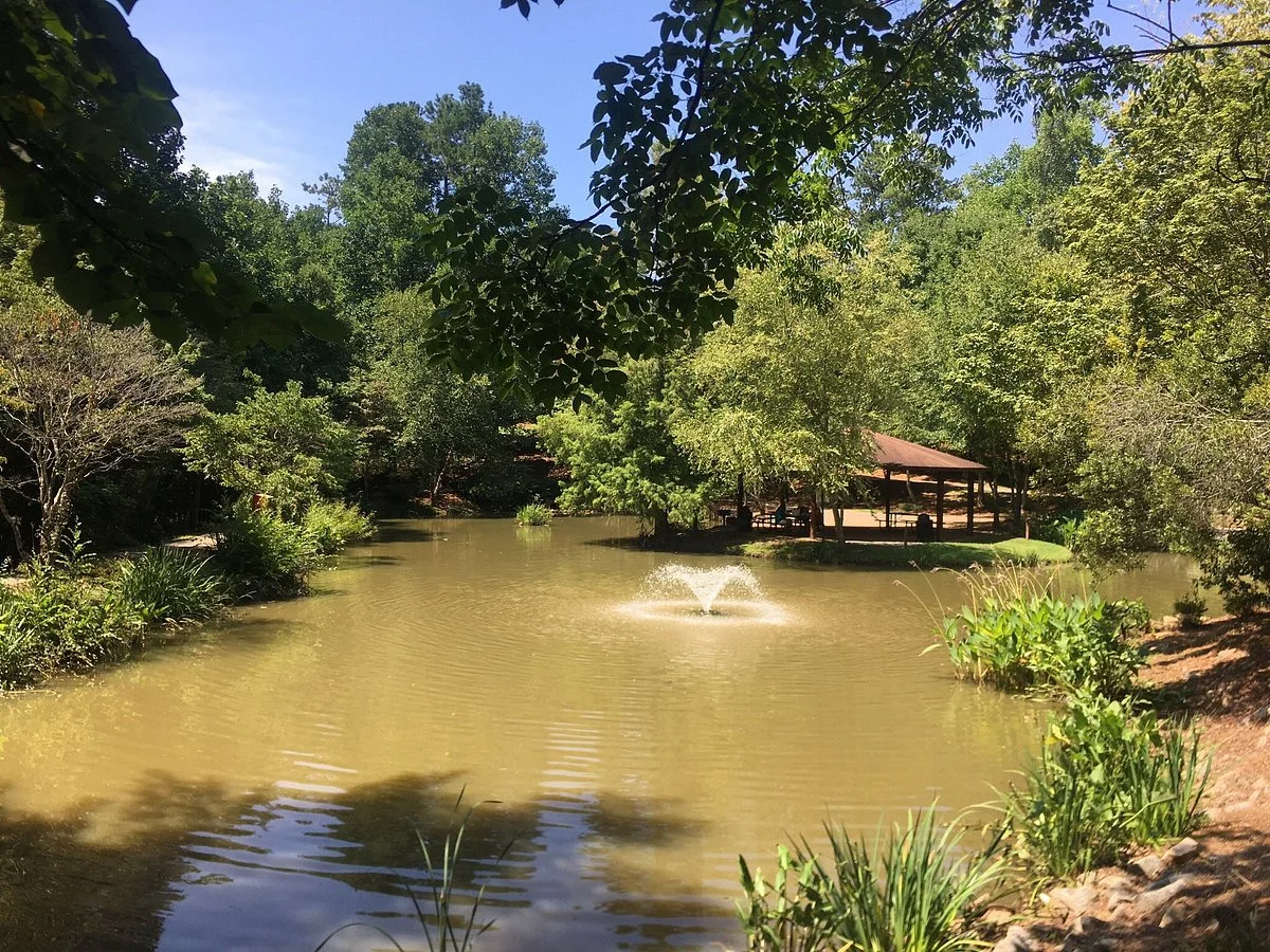 Newtown Park