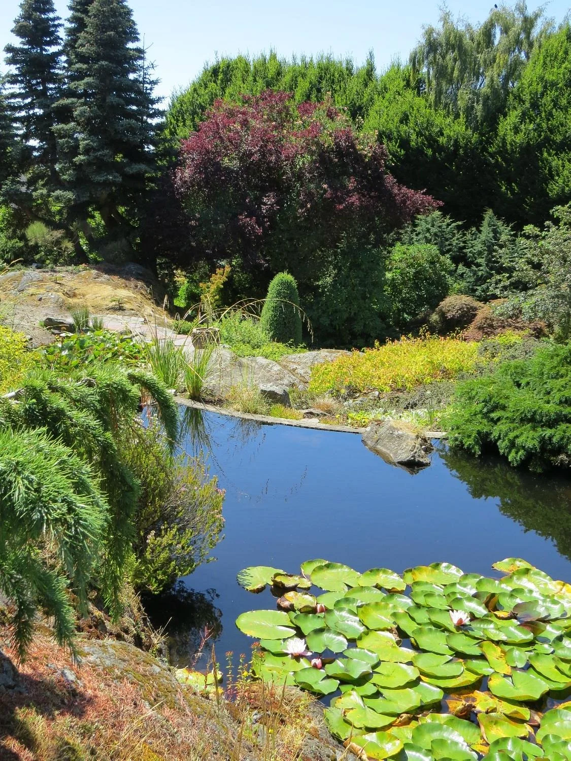 Abkhazi Garden
