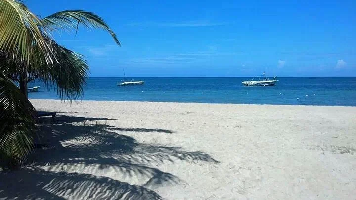 Sharkies Beach