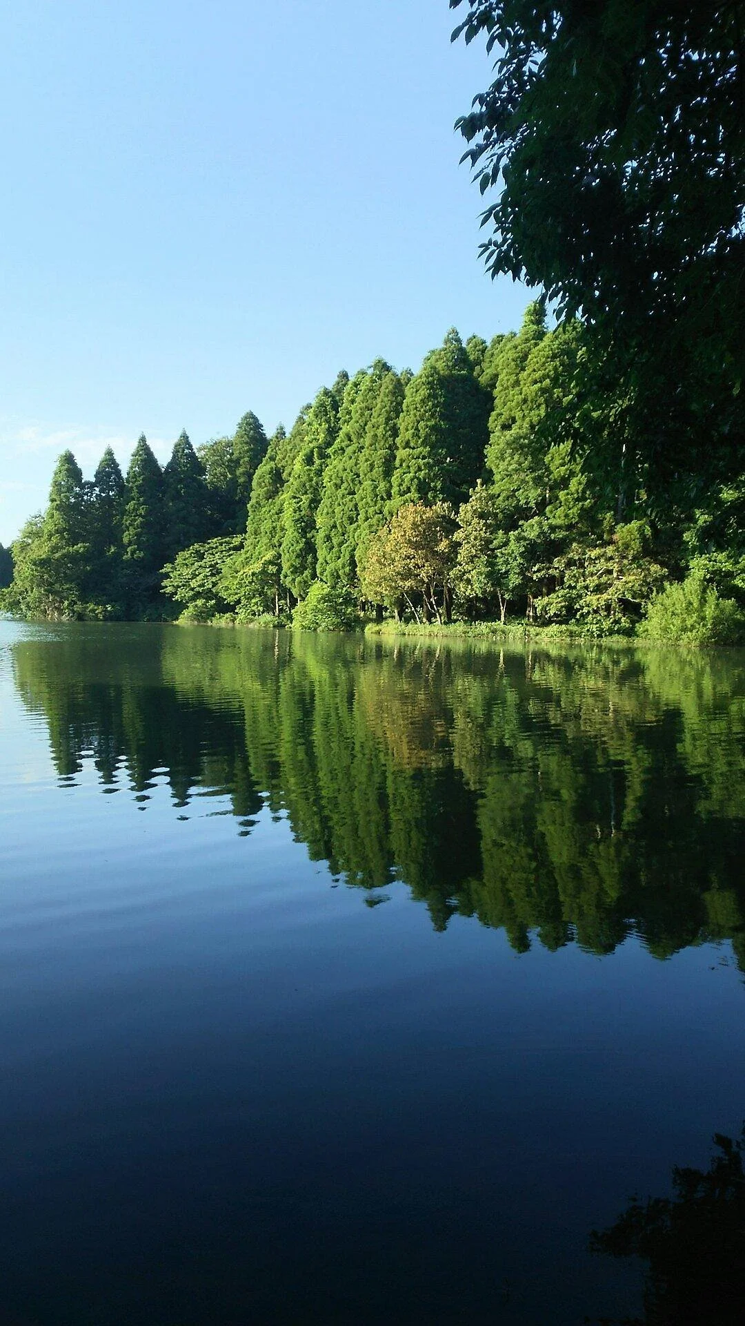 Pond Ojaga