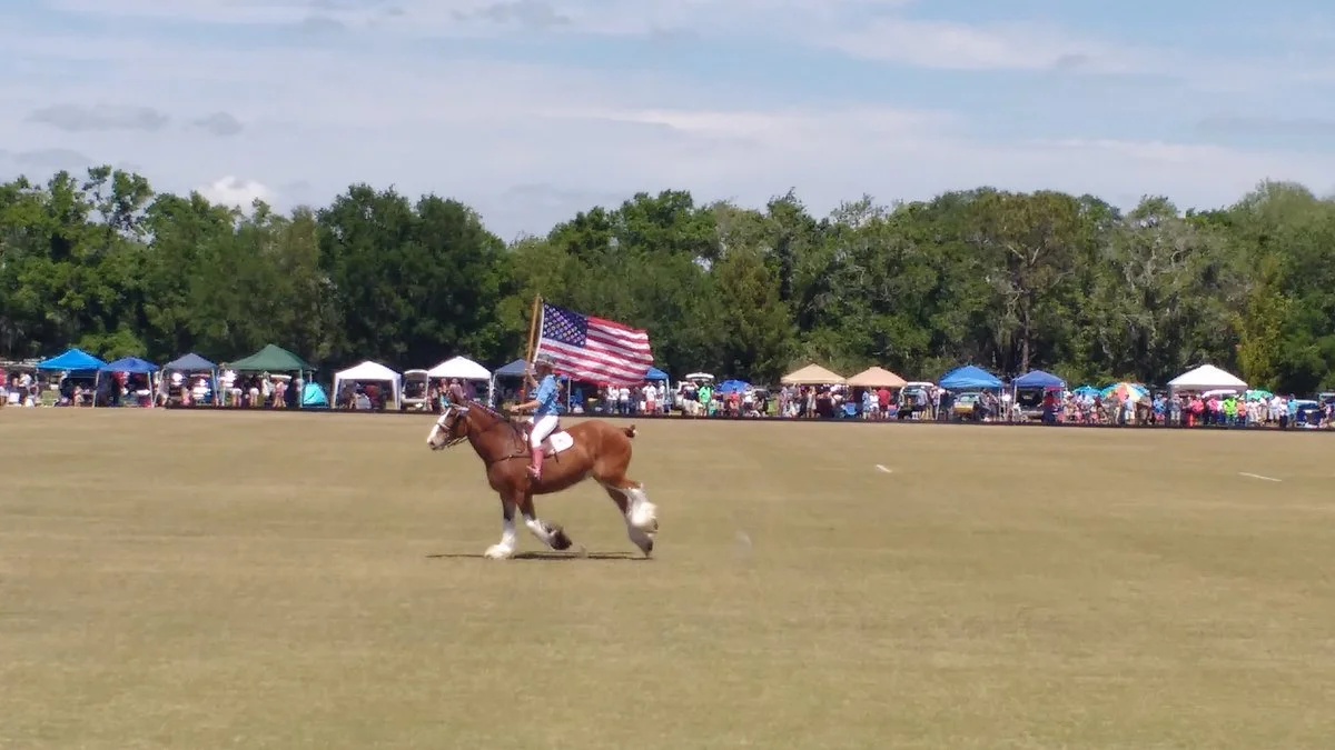Sarasota Polo at Lakewood Ranch