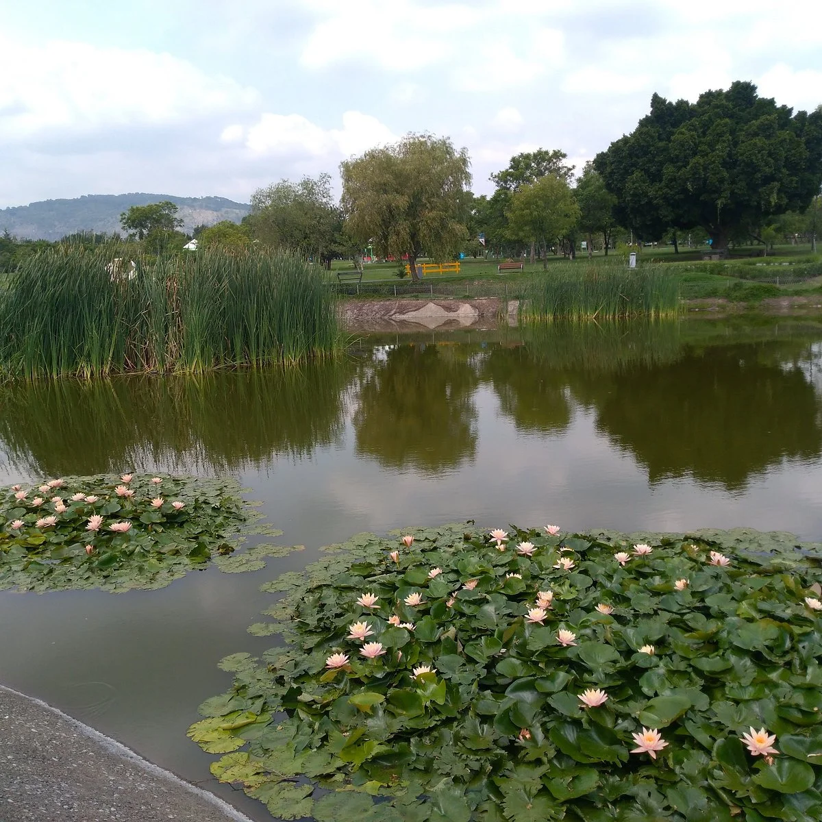Parque Metropolitano de Guadalajara