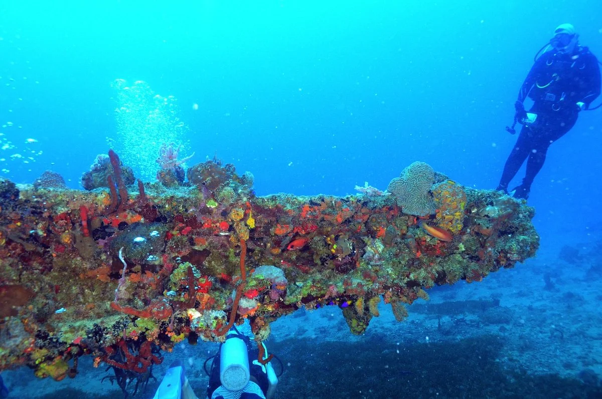 Rhone National Marine Park
