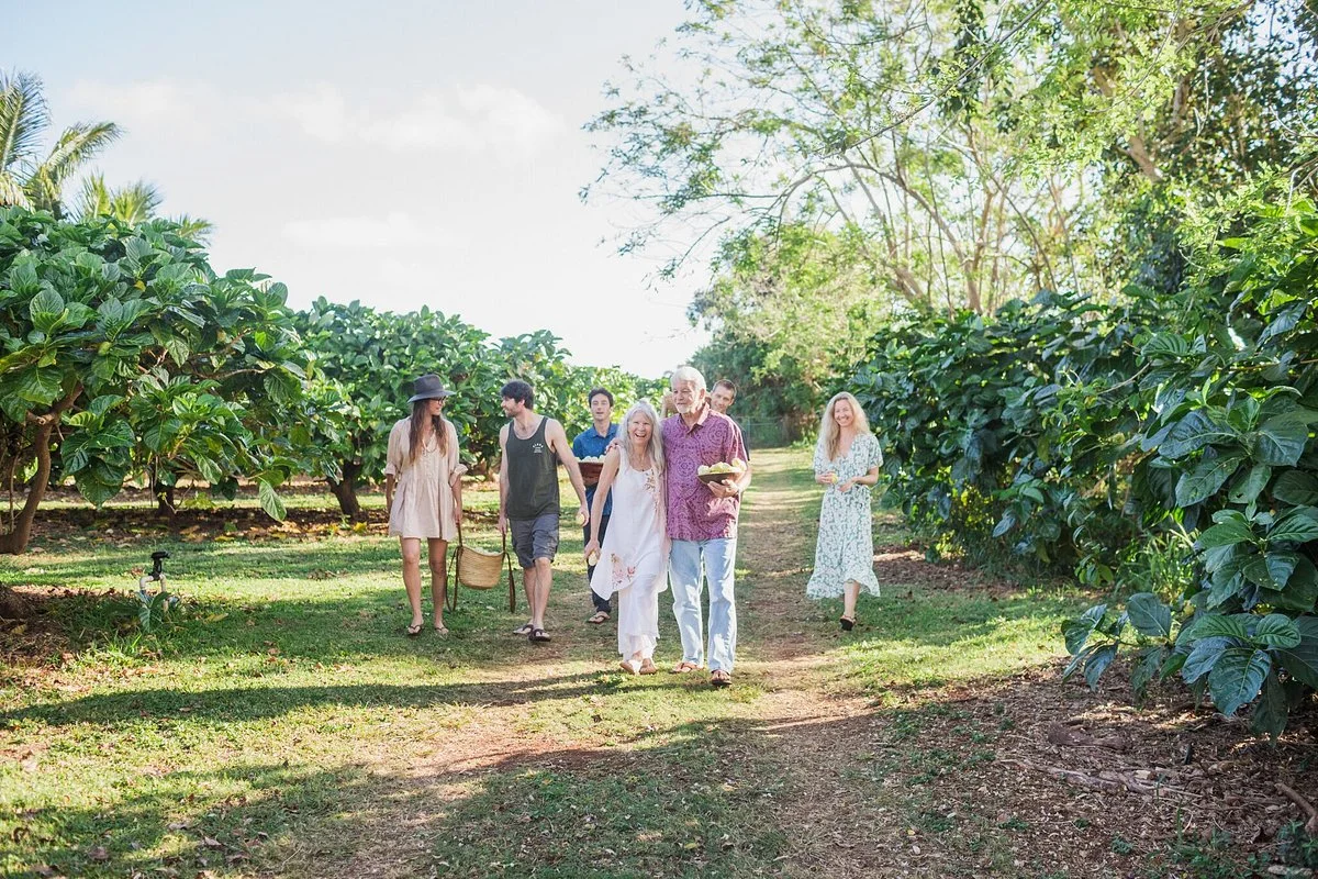 Hawaiian Organic Noni Farm