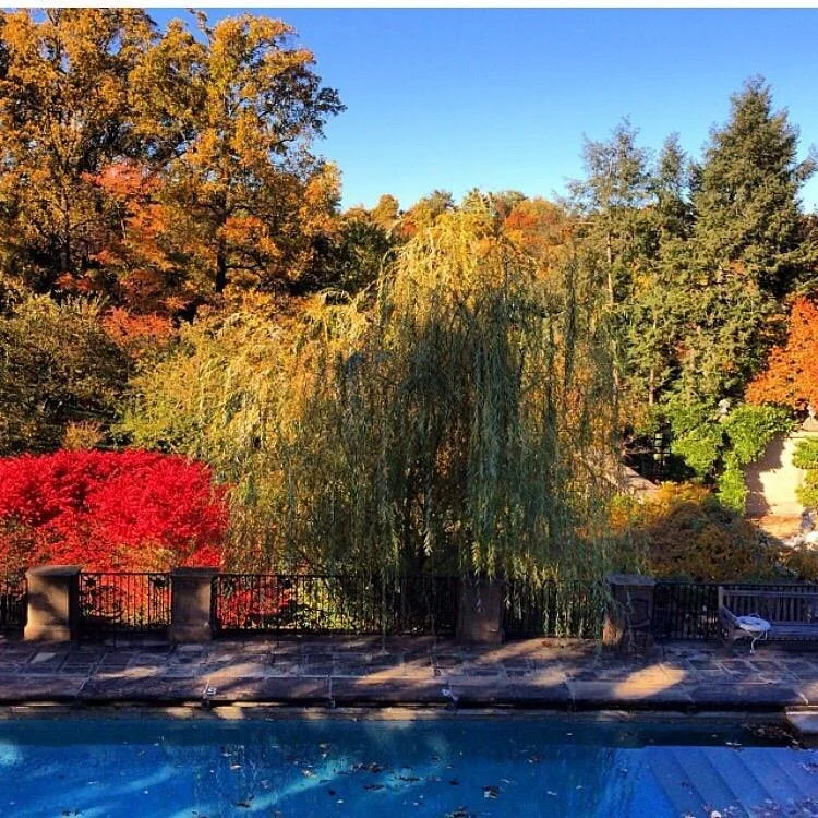 Dumbarton Oaks
