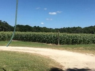 Frazier Farms