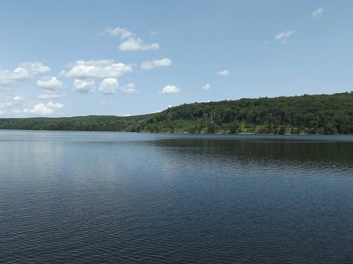 Scranton Lake Walking Path