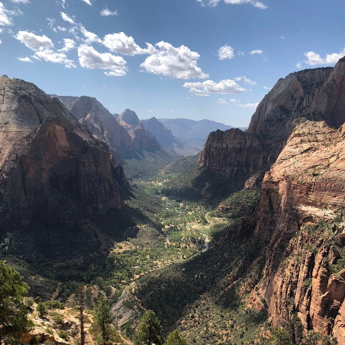 Zion's Main Canyon