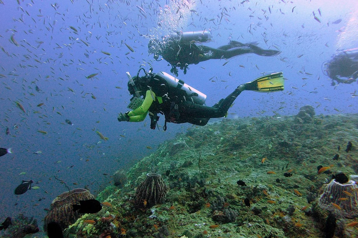 Barefoot Scuba