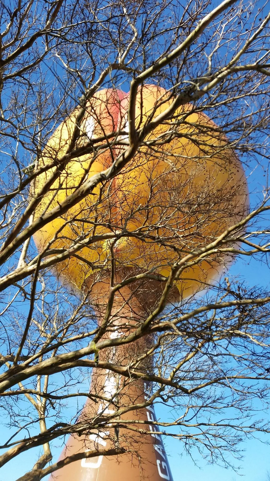 The Peachoid