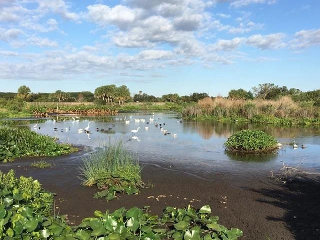 Peaceful Waters Sanctuary