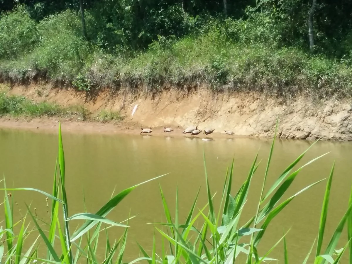 Parque Natura