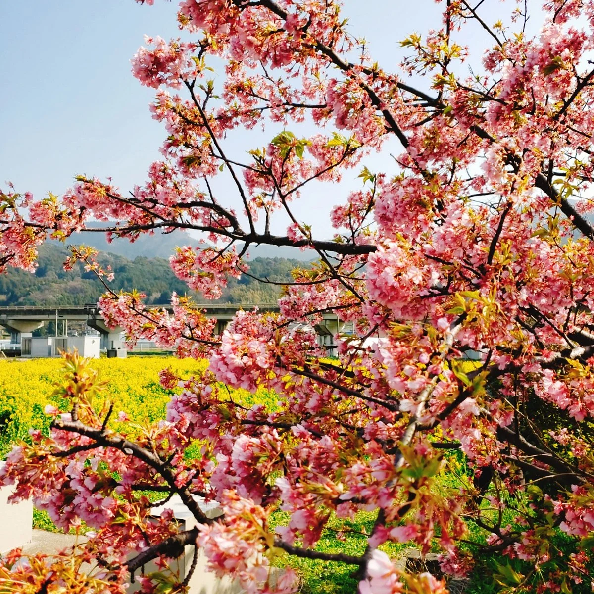 Fukufuku no Sato