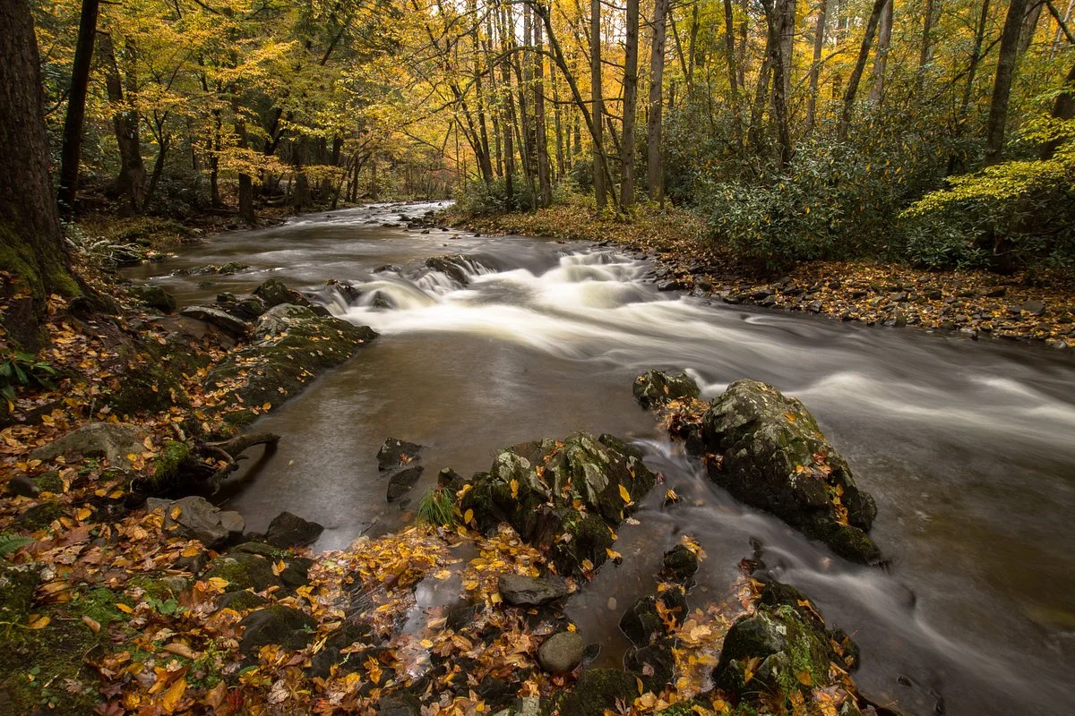 Little River Road