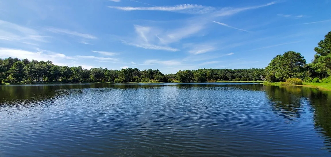 Jarvis Creek Park