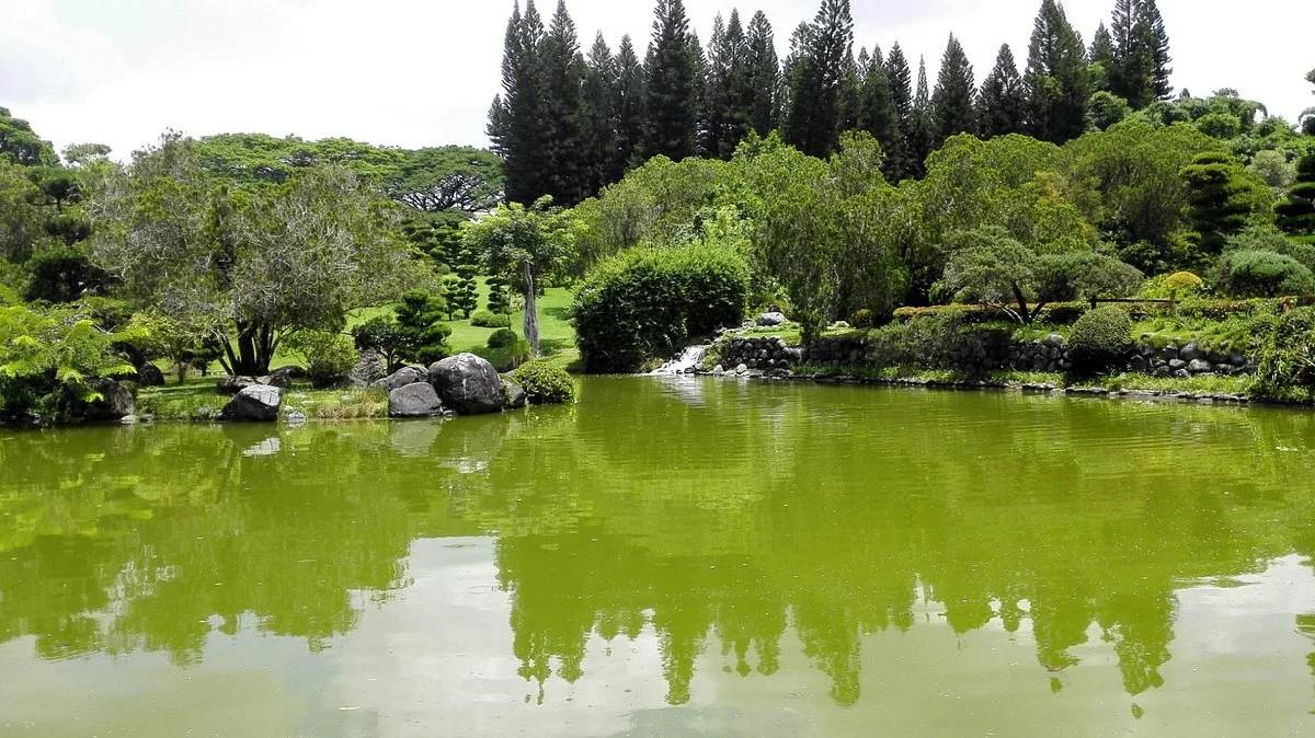Jardin Botanico Nacional