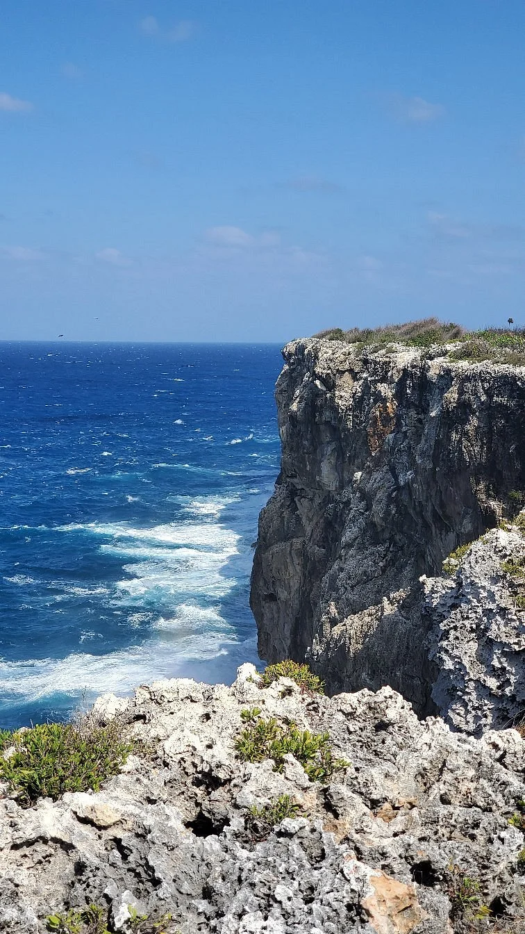 The Bluff