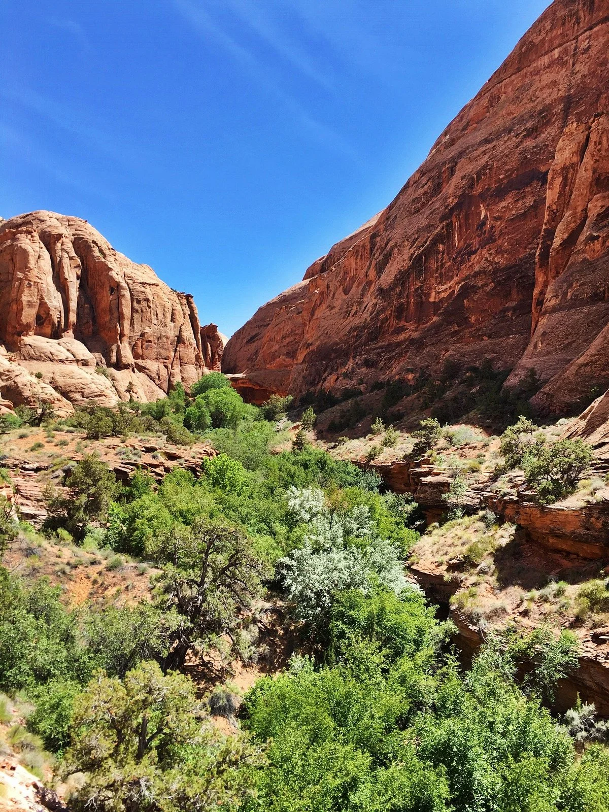 Grandstaff Canyon Trail