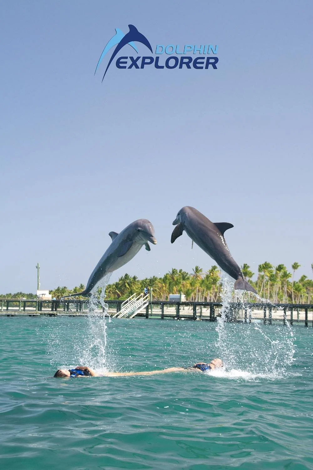 Dolphin Explorer
