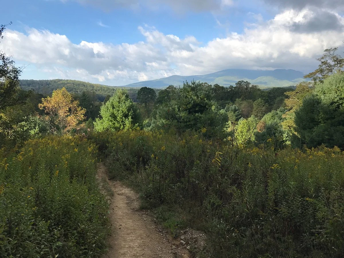Green Knob Trail