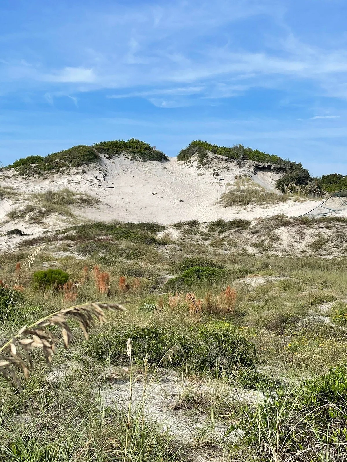 Nana Dune