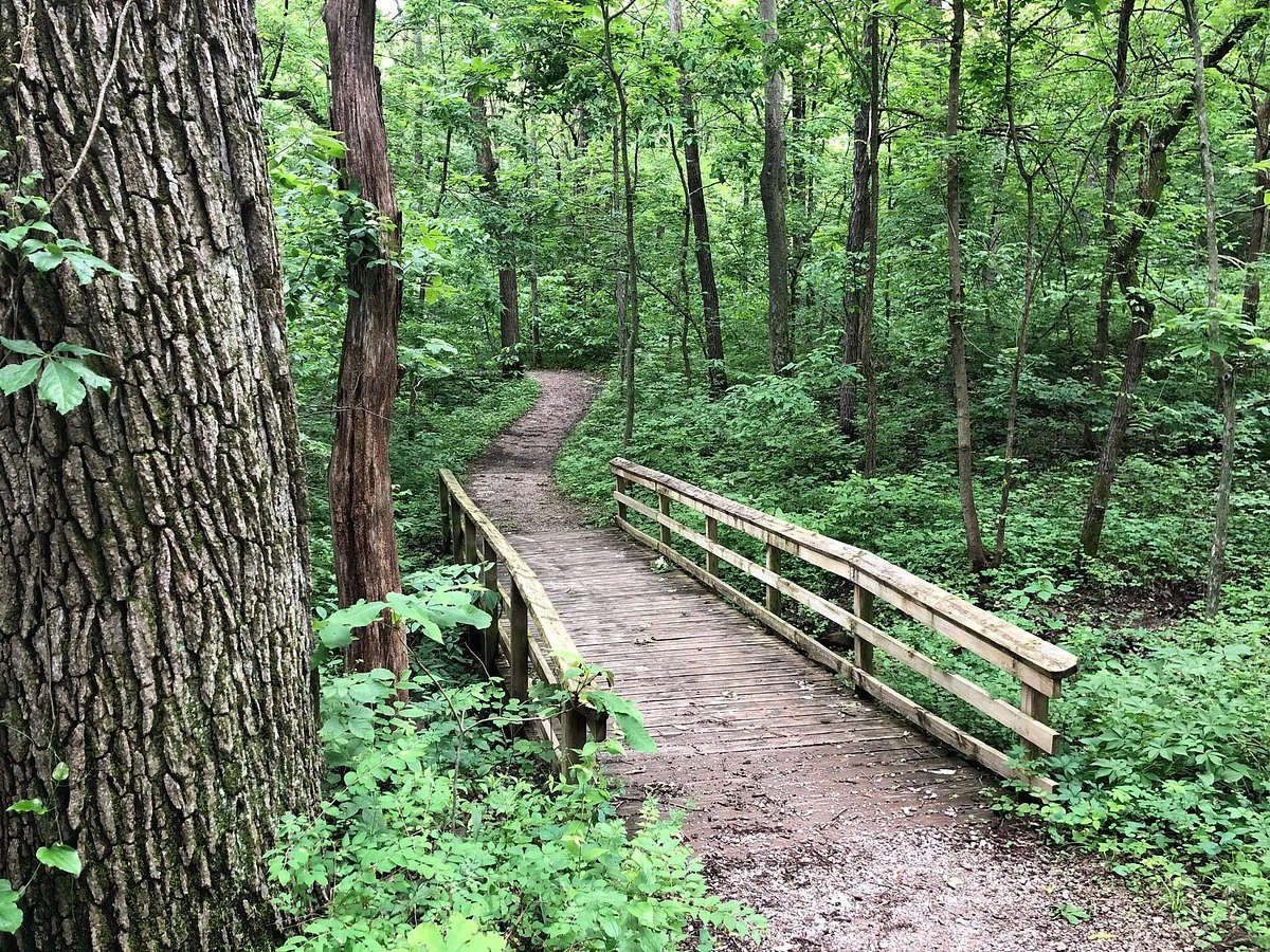 Burr Oak Woods Conservation Area