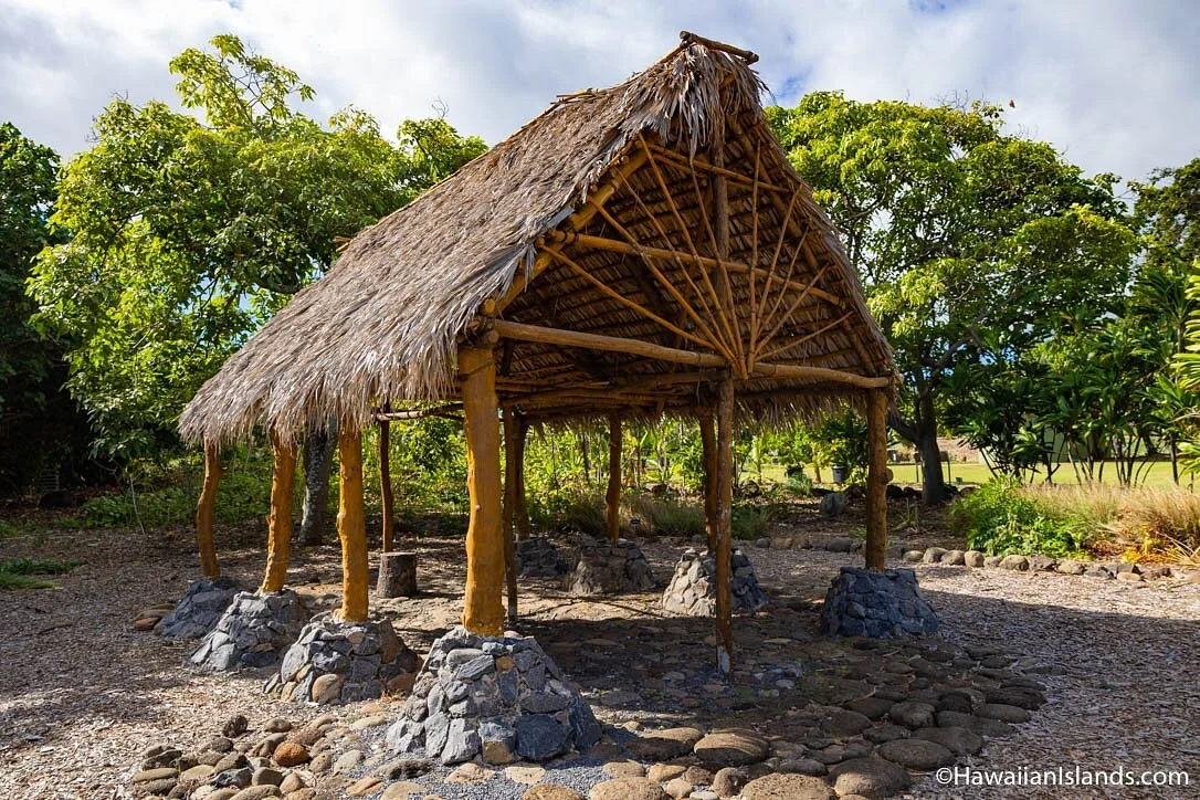 Maui Nui Botanical Gardens