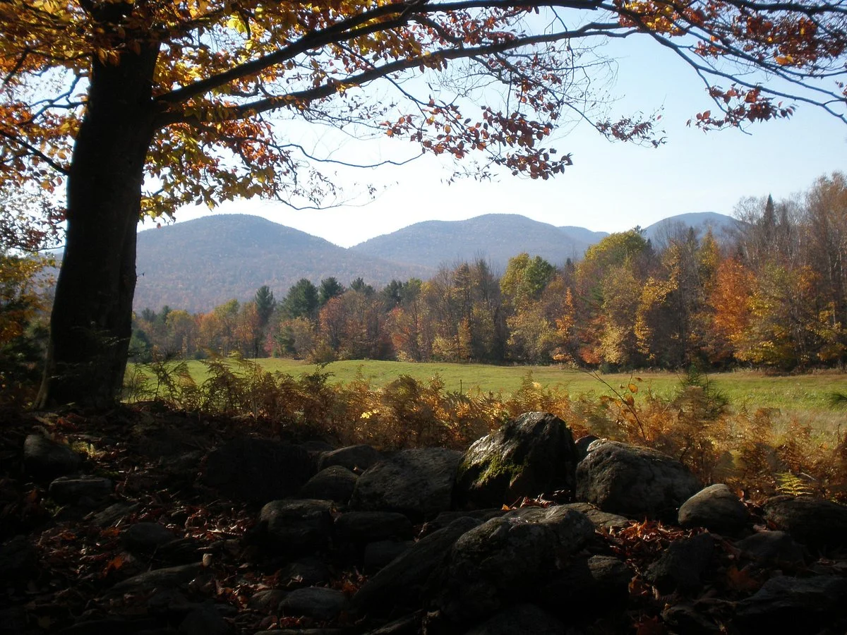 Wiessner Woods
