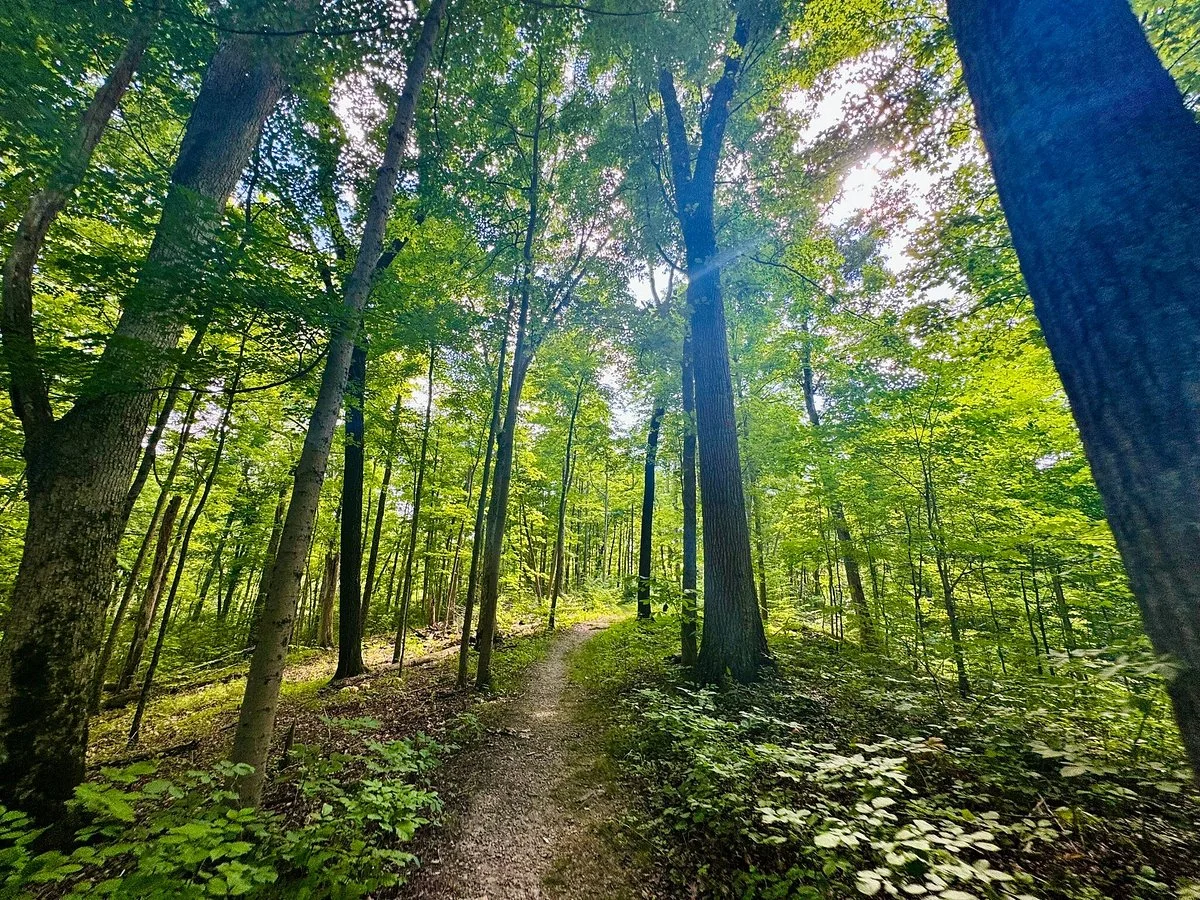 Cincinnati Nature Center