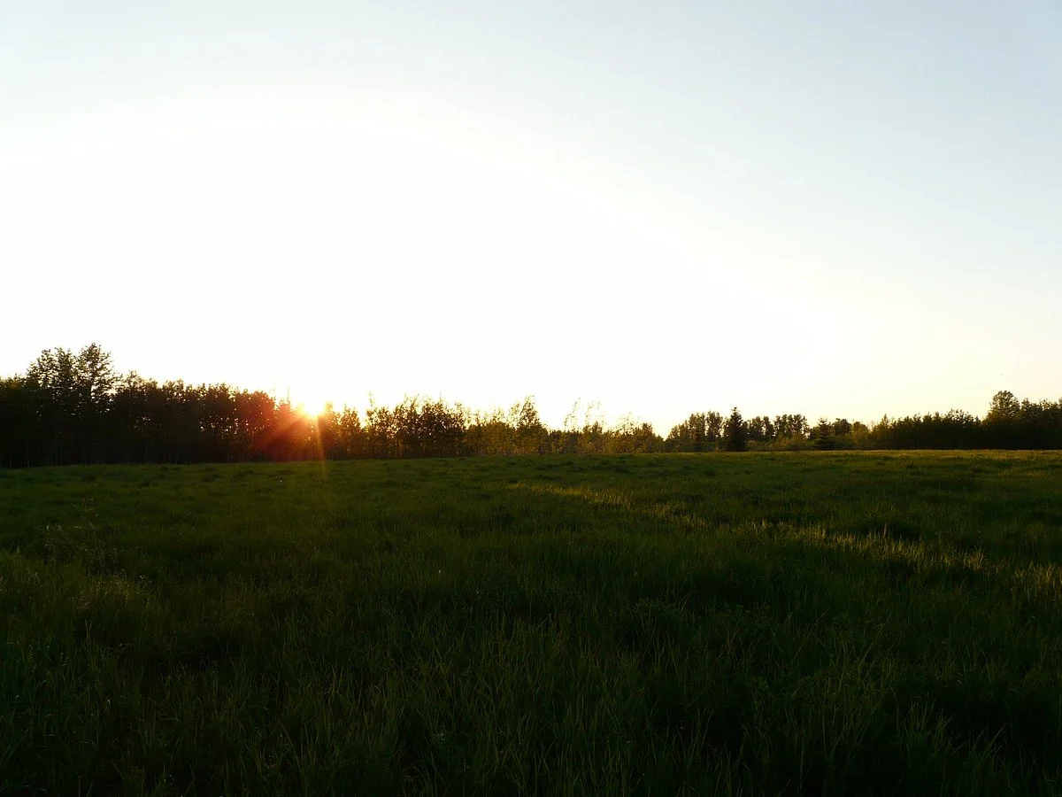 Wagner Natural Area