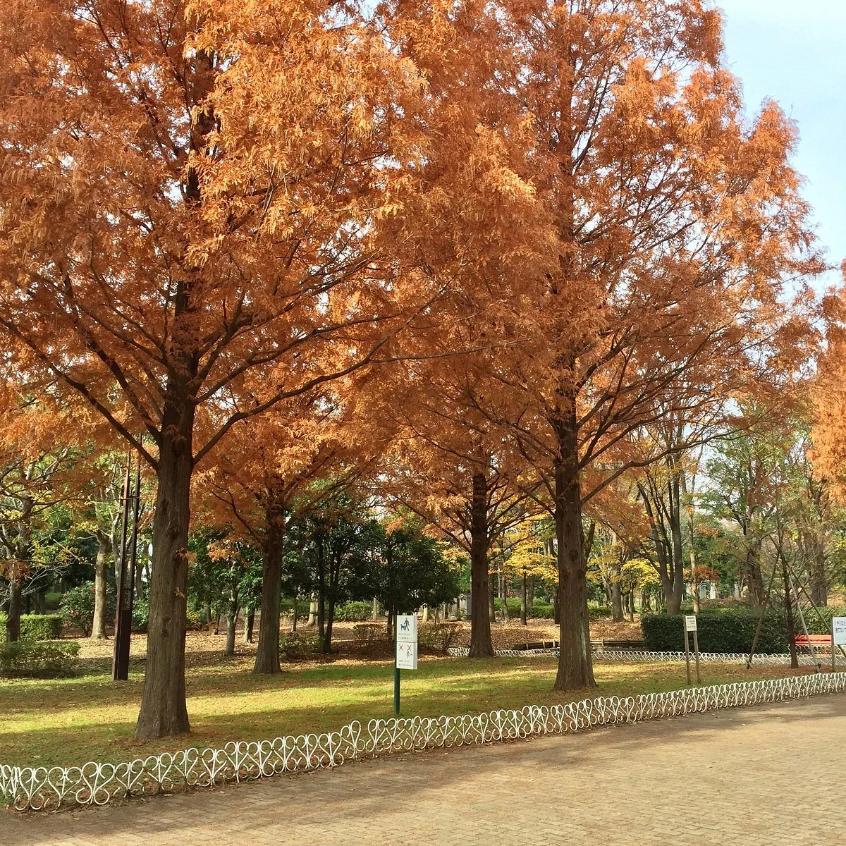 Soka Park
