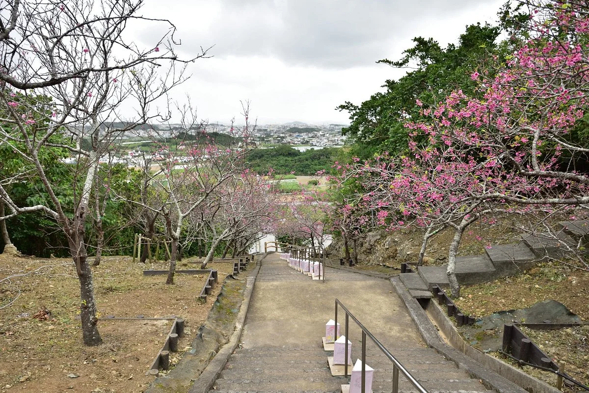 Yaese Park