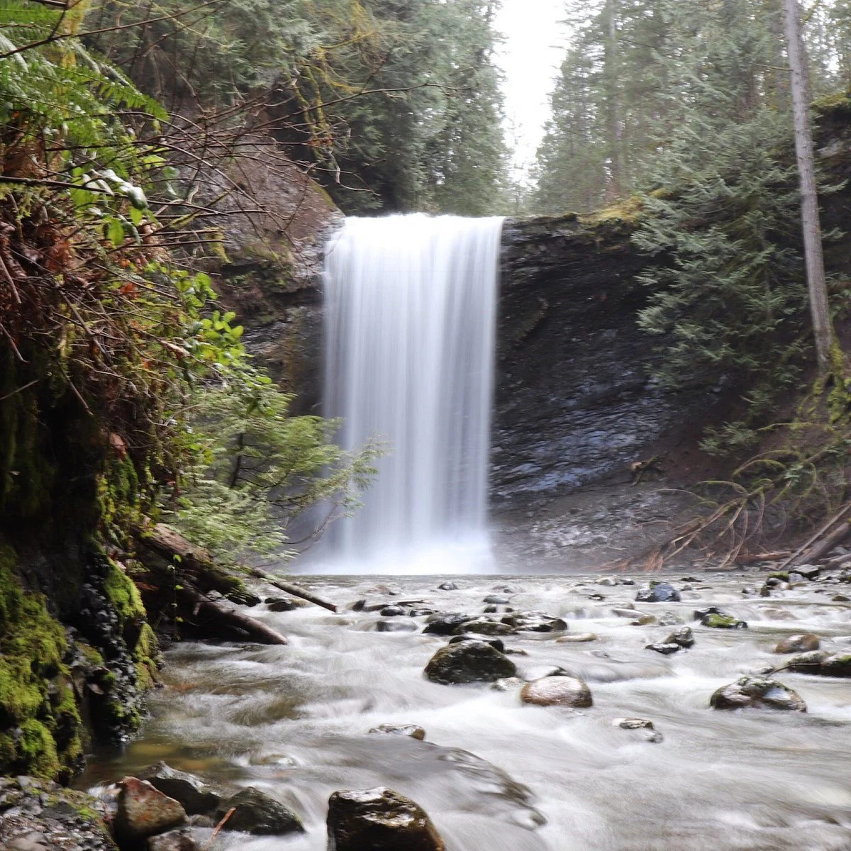 Ammonite Falls