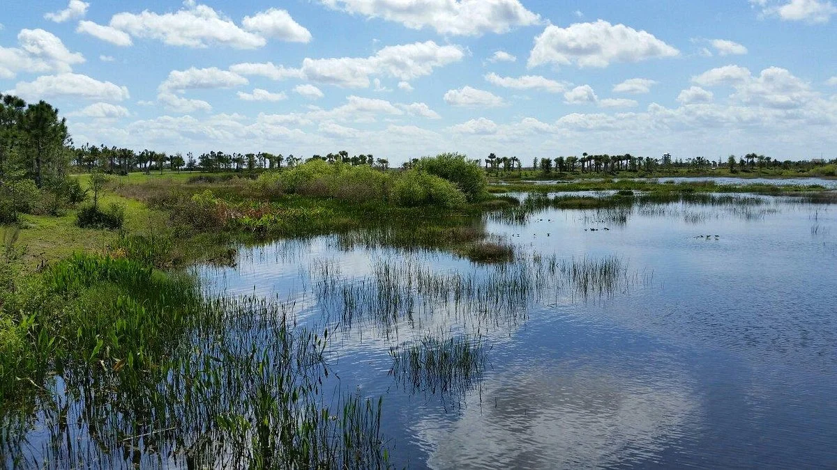 Wellington Environmental Preserve