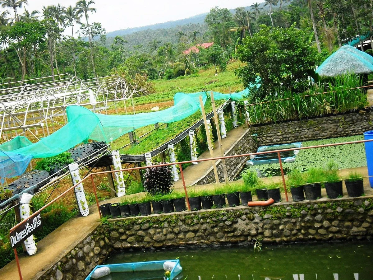 Costales Nature Farms