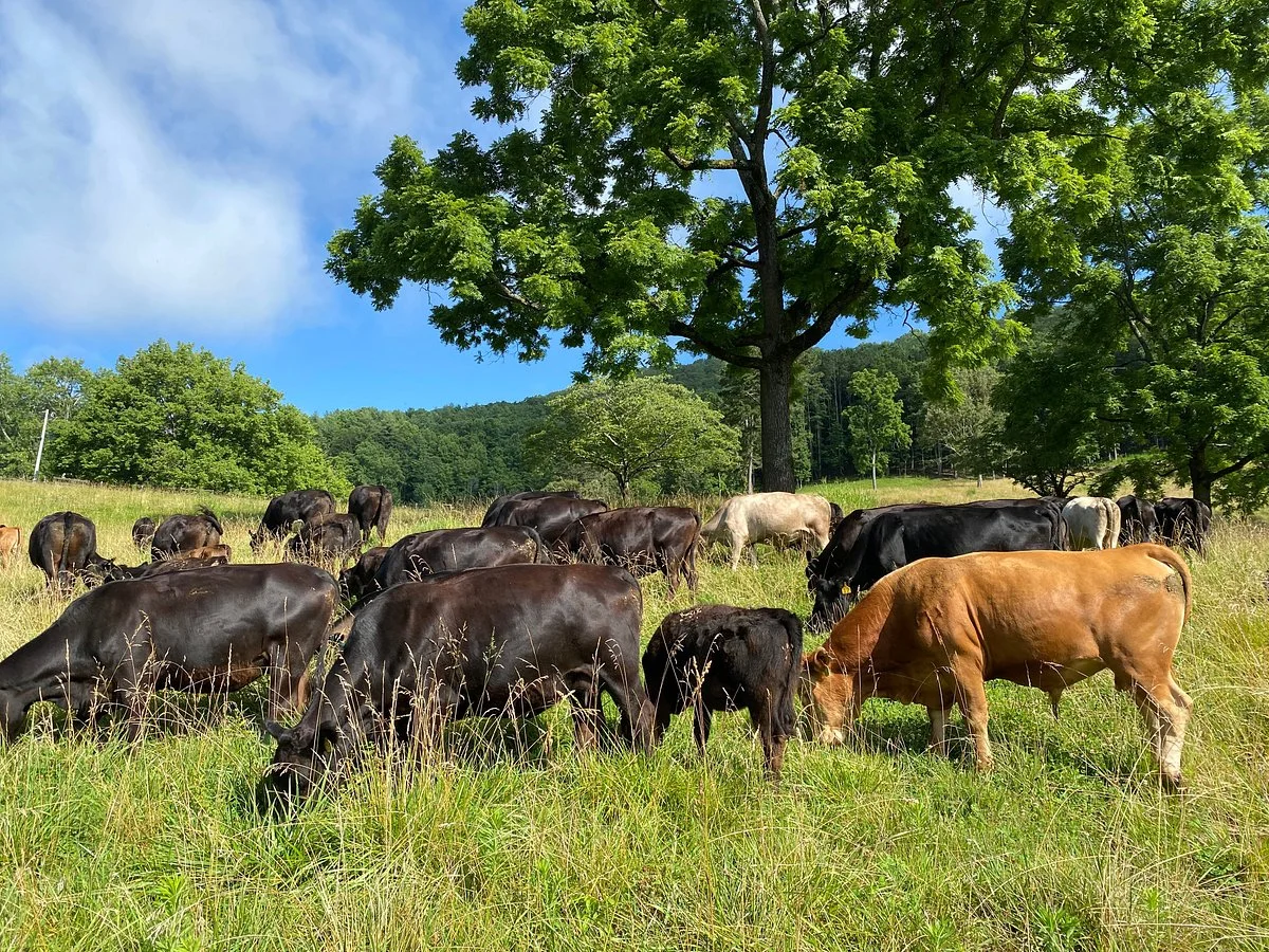 Walnut Hollow Ranch