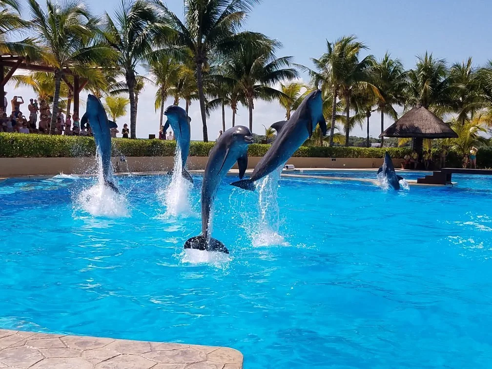 Dolphinaris Barcelo