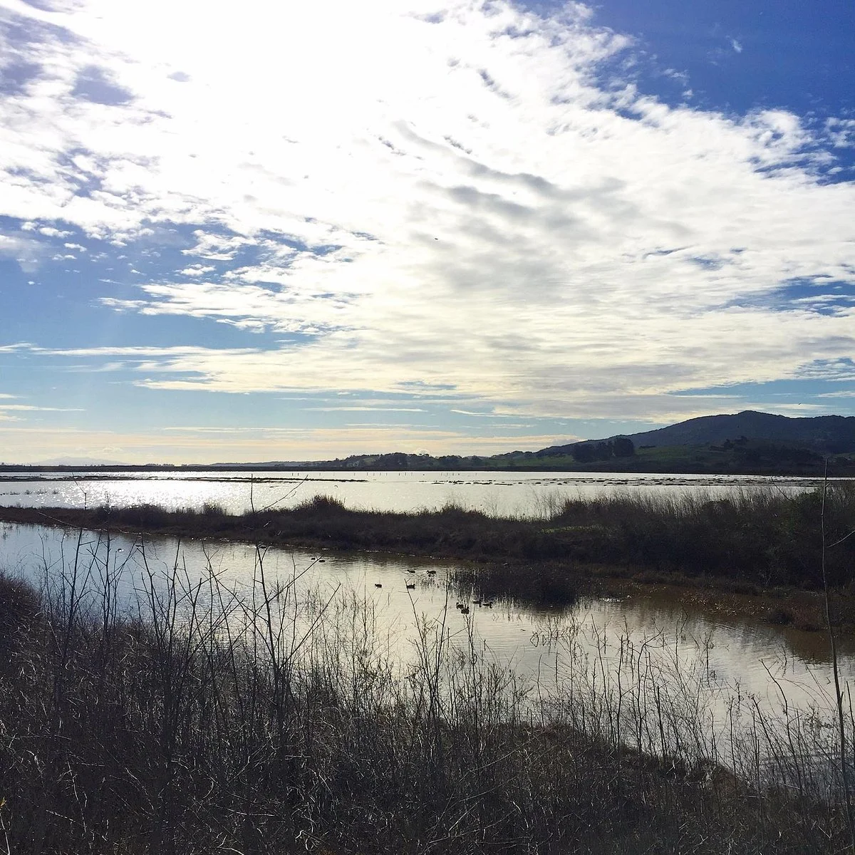 Shollenberger Park