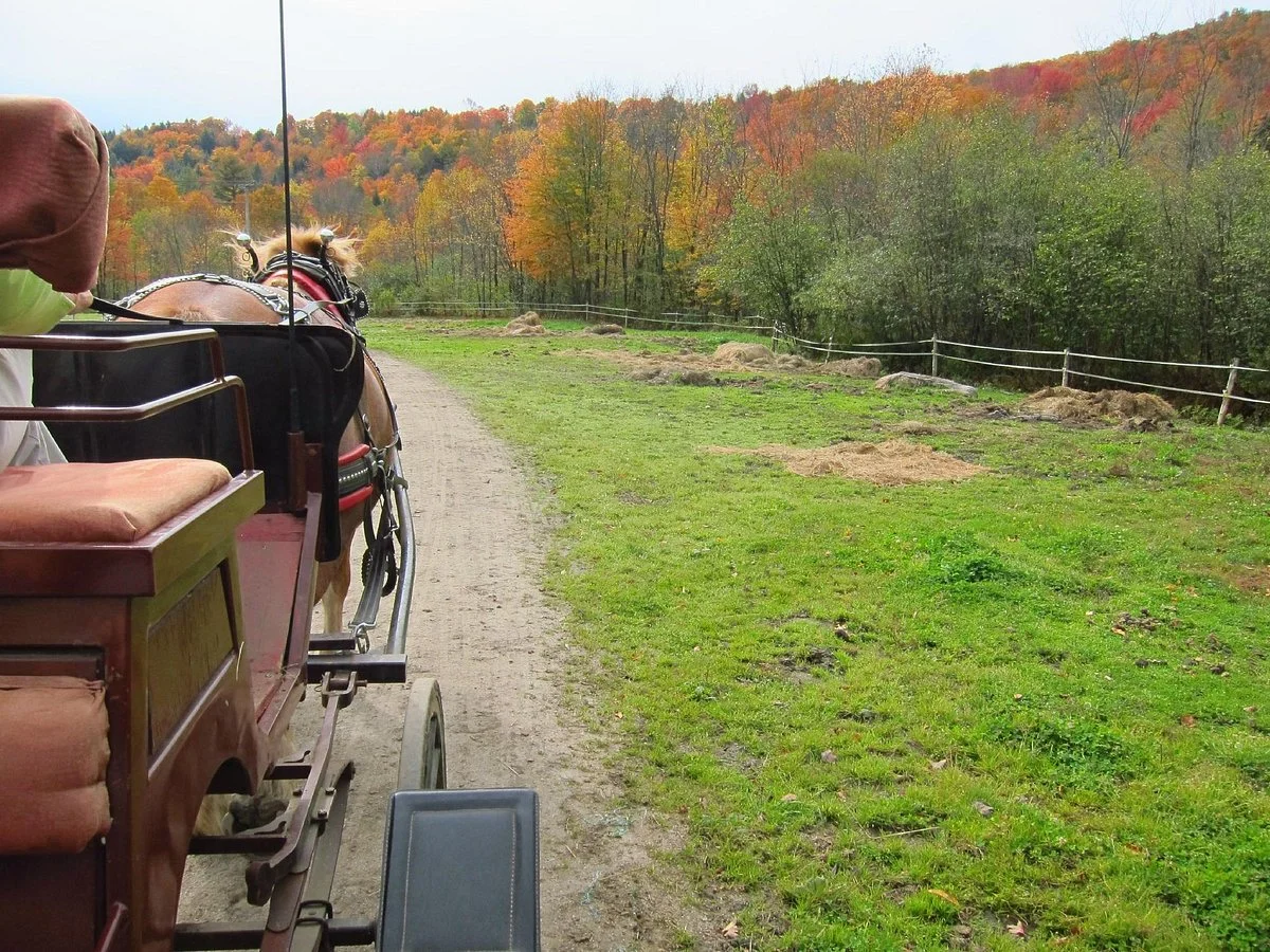 Gentle Giants Sleigh and Carriage Rides