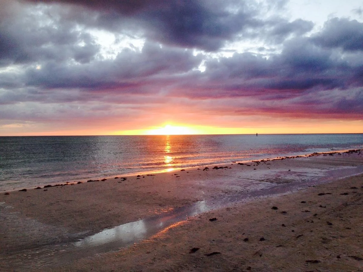 South Lido Park