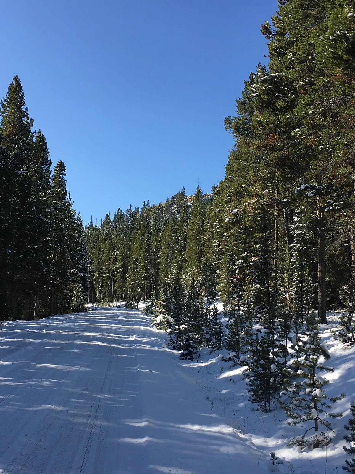 Red Grade Road