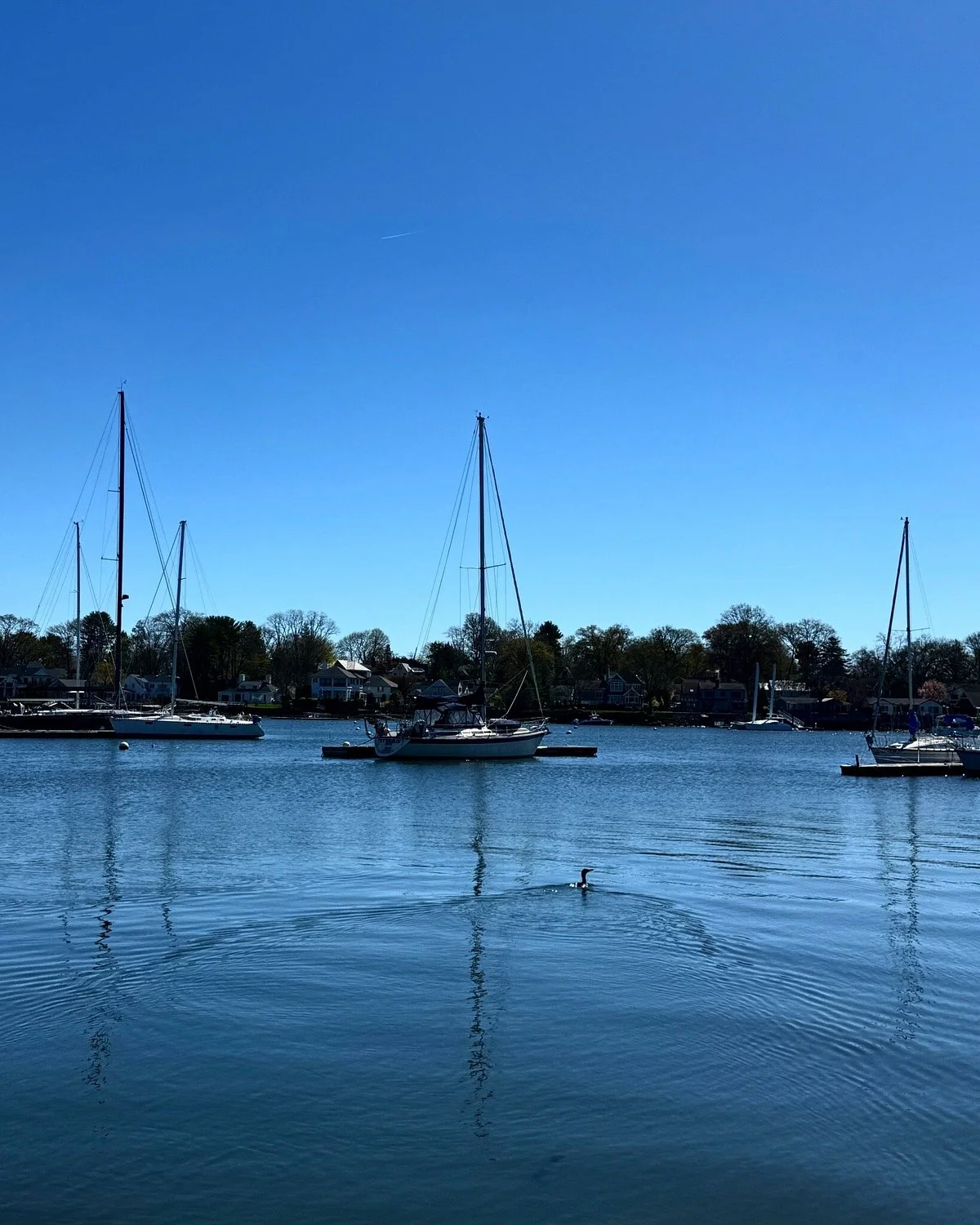 Harbor Island Park