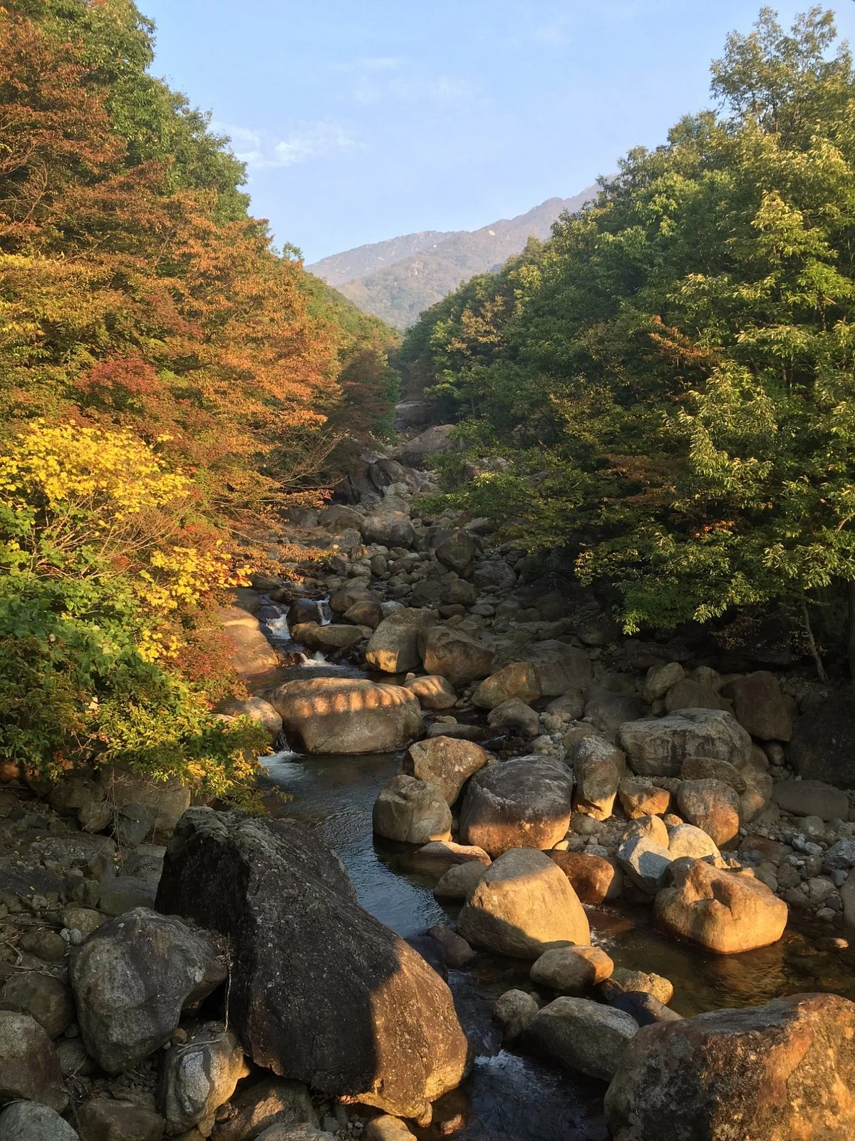 Jirisan National Park