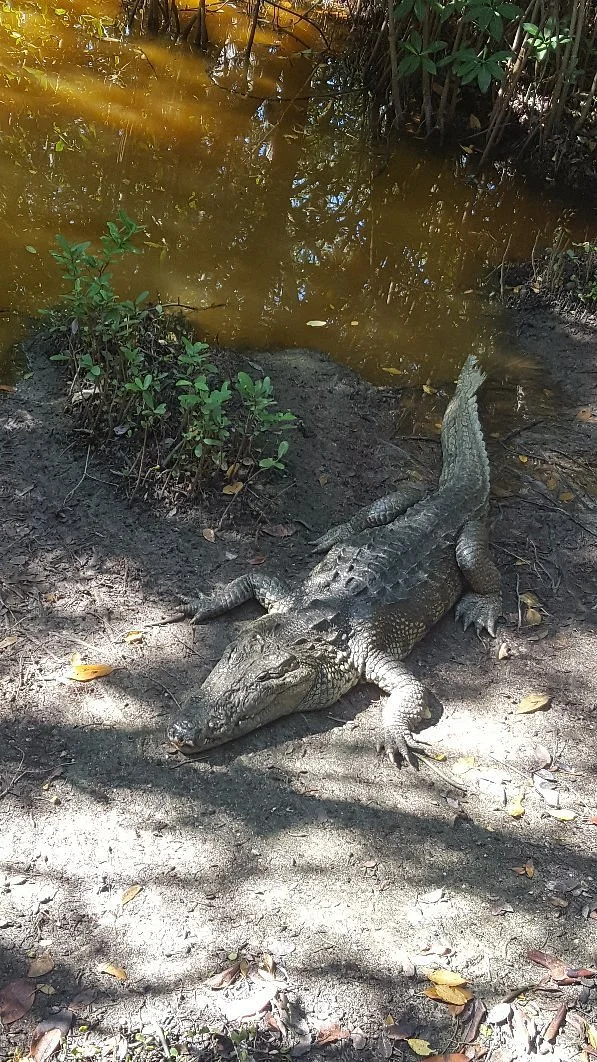 Parque Ecoturistico Jaltun